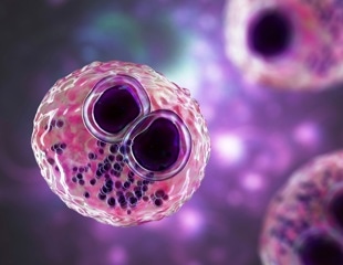 ThinkCyte Unveils MorphoScan Cloud to Supercharge AI Cell Analysis and Collaboration