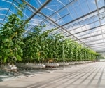Optimizing Greenhouse Management with Accurate Temperature Prediction