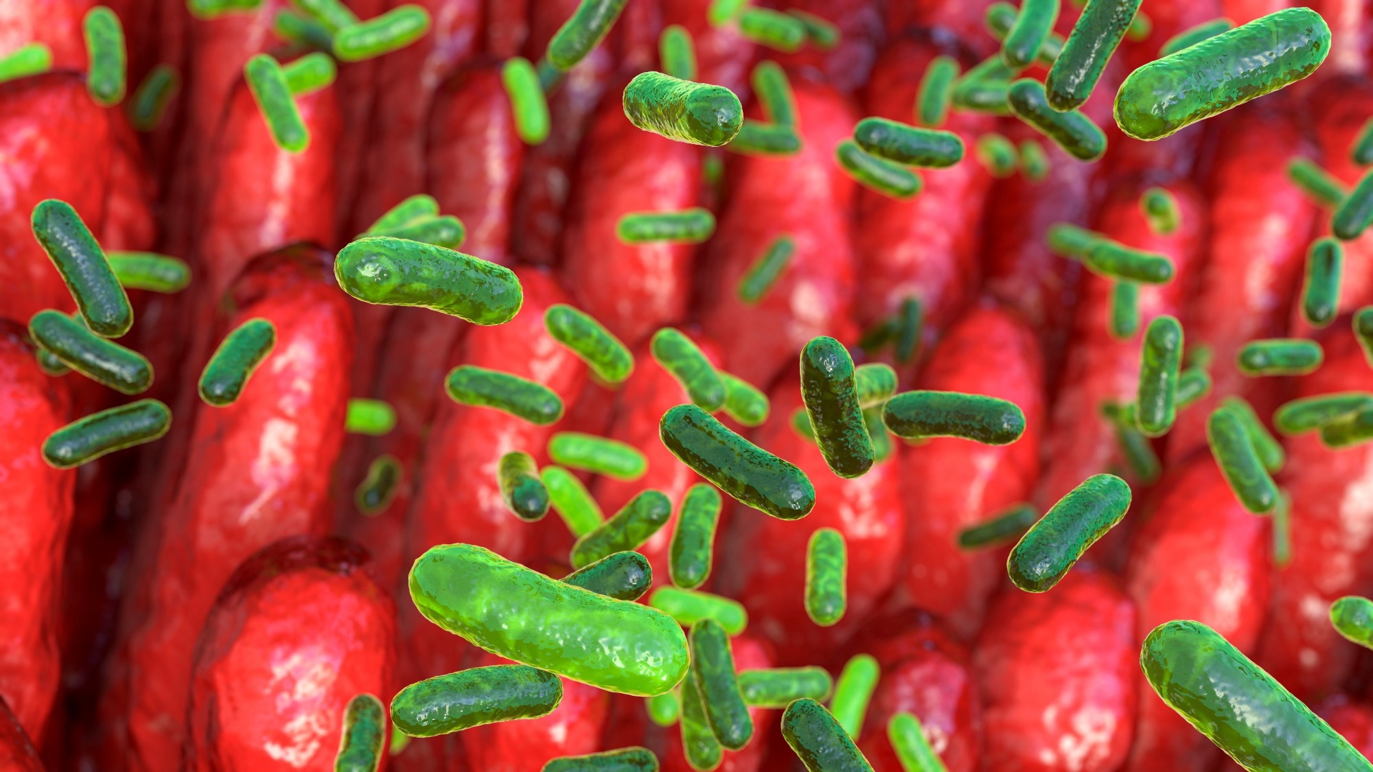 Detection of Mycotoxins in Cereal Grains and Nuts Using Machine Learning Integrated Hyperspectral Imaging: A Review. Image Credit: Kateryna Kon / Shutterstock