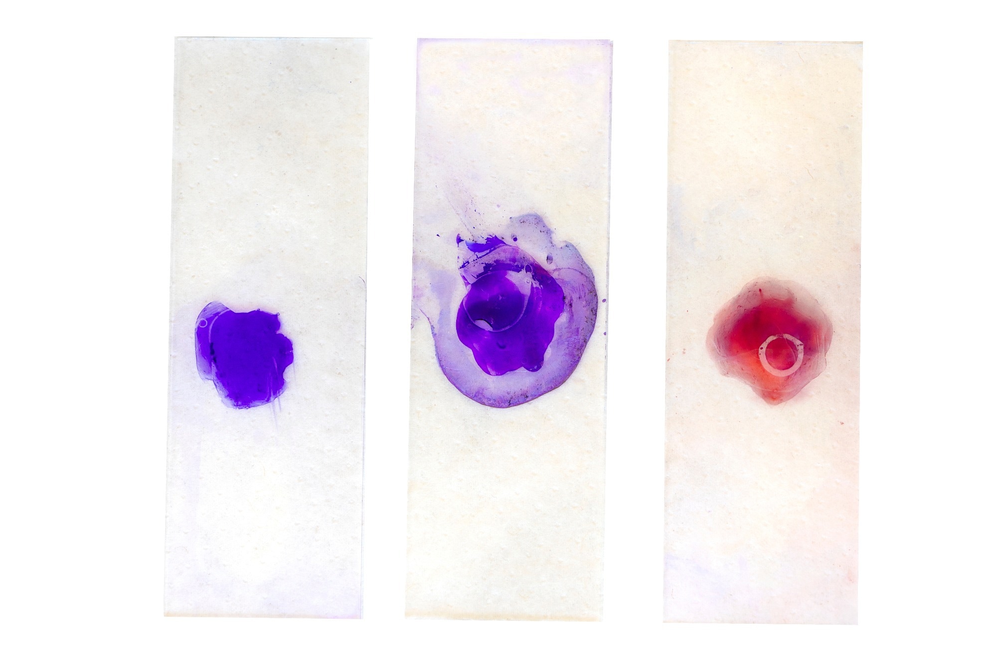 Study: Simplifying Whole-Slide Image Analysis with SliDL: A Deep Learning Toolbox. Image credit: eczserapyilmaz /Shutterstock