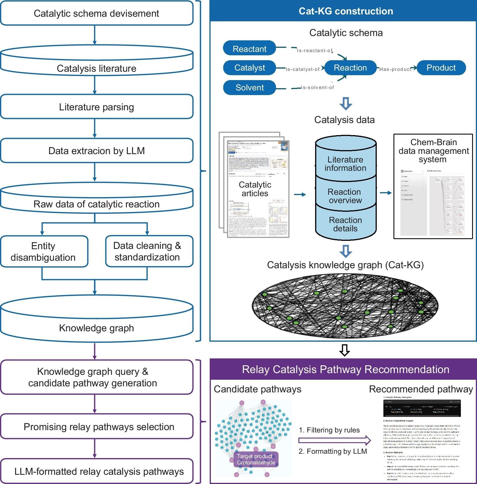 Workflow diagram of the construction of the Cat-KG and application for relay catalysis. The initial phase involves the selection of a catalytic schema and the acquisition of data from catalysis-centric literature to establish the Cat-KG (blue), followed by the recommendation of a reaction pathway (purple). Shared steps are marked with the corresponding color.