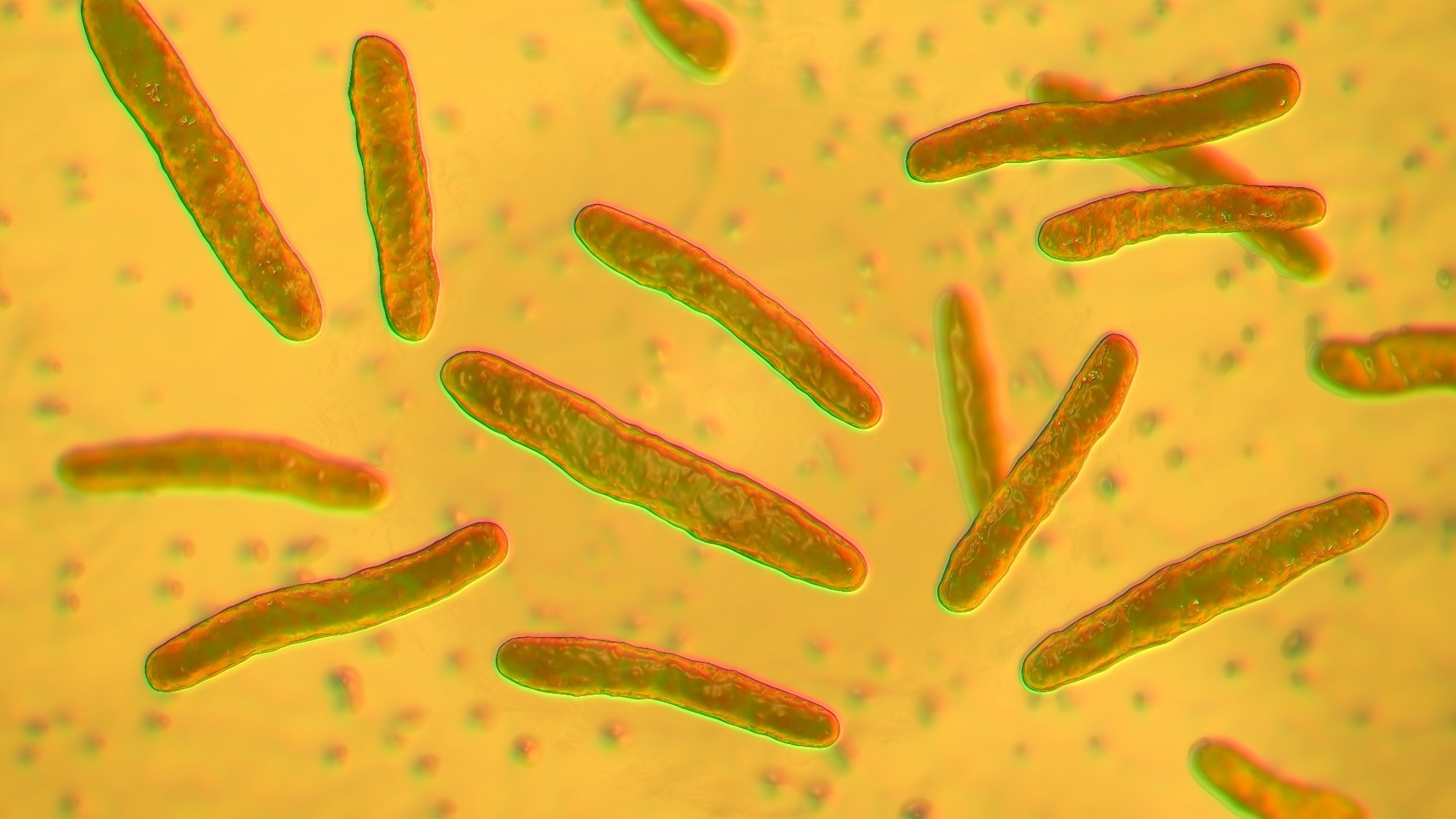 Research: Integration of multi-modal measurements identifies critical mechanisms of tuberculosis drug action. Image Credit: Kateryna Kon  / Shutterstock