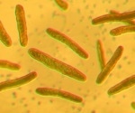 AI Tool Cracks How TB Drugs Kill Bacteria, Opening Door To Faster Treatments