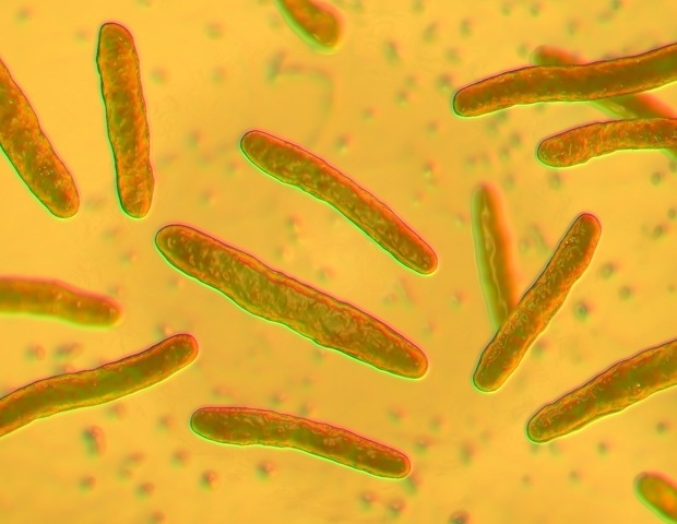 AI Tool Cracks How TB Drugs Kill Bacteria, Opening Door To Faster Treatments