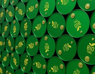 How Deep Learning Is Optimizing Biodiesel Feedstocks for a Greener Future