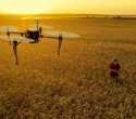 AI And Drone Imaging Predict Wheat Yields With Unmatched Accuracy