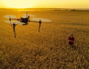 AI And Drone Imaging Predict Wheat Yields With Unmatched Accuracy