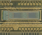 New Optical Chip Slashes AI Energy Use With Light-Powered Computing