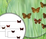 AI Learns Evolution’s Logic With Quartet-Based Neural Network