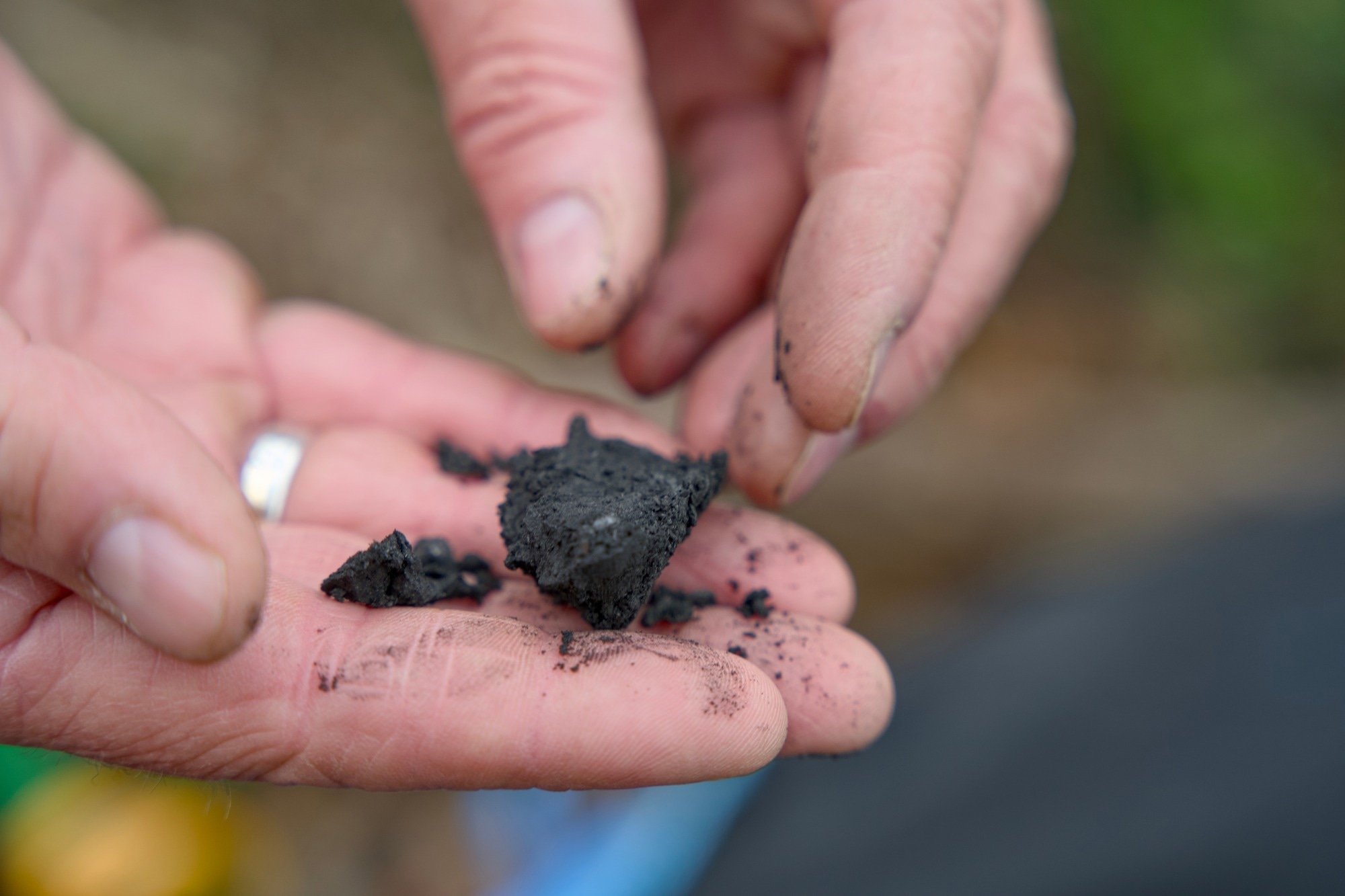 Research: Machine learning-enabled optimization of biochar resource utilization and carbon mitigation pathways: mechanisms and challenges. Image Credit: Rene Notenbomer / Shutterstock