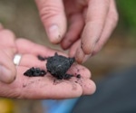 Machine Learning Supercharges Biochar Research To Fight Climate Change