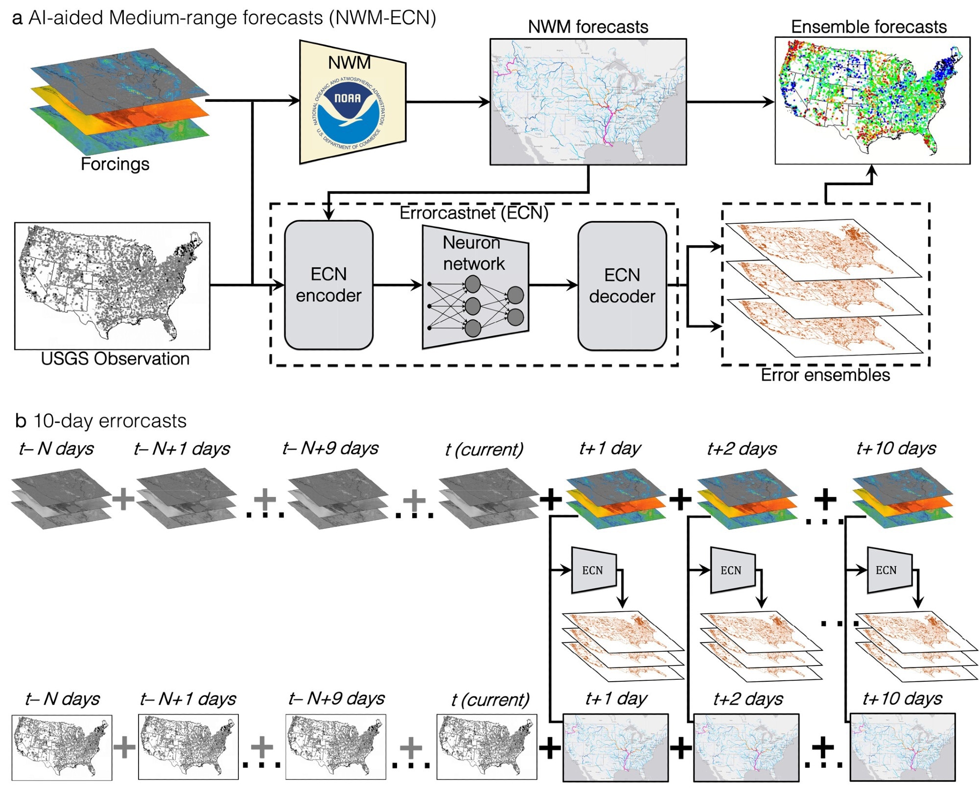 Overview of medium-range (10-day) streamflow forecasting framework over the CONUS. (a) Integration of NWM with ECN. ECNs are trained using NWM hindcasts, climate forcing, and USGS streamflow observations to estimate an ensemble of errors, which combine with NWM forecasts for probabilistic forecasts. (b) Forecast framework showing data sets used for 1 to 10-day error predictions: observed (gray) and forecasted (colored) meteorological forcings, observed flows, and NWM forecasts. “+” indicates data combination sequence; N represents lookback window for observed data.