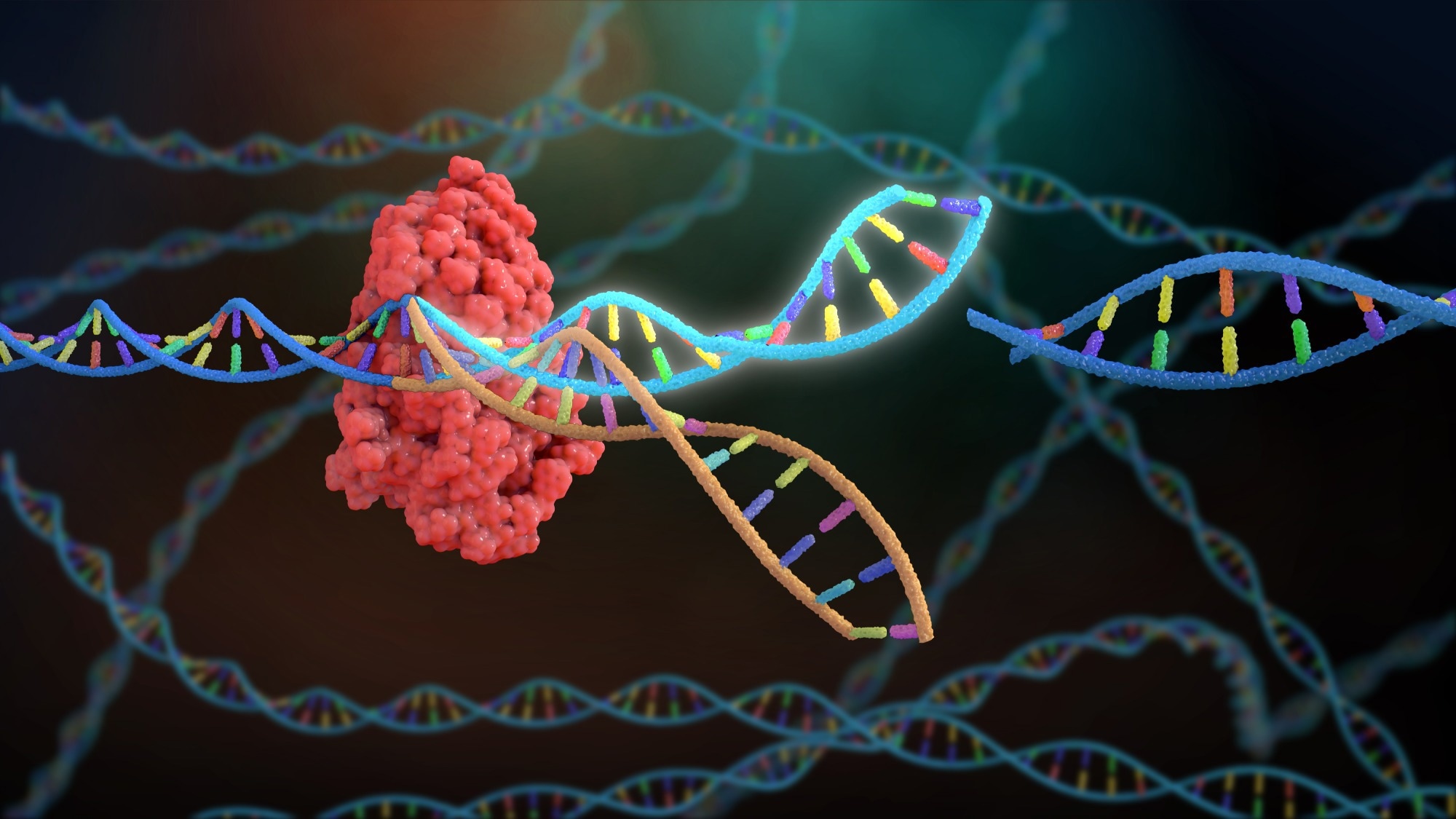 Research: CRISPR-GPT for agentic automation of gene-editing experiments. Image Credit: Nathan Devery  / Shutterstock