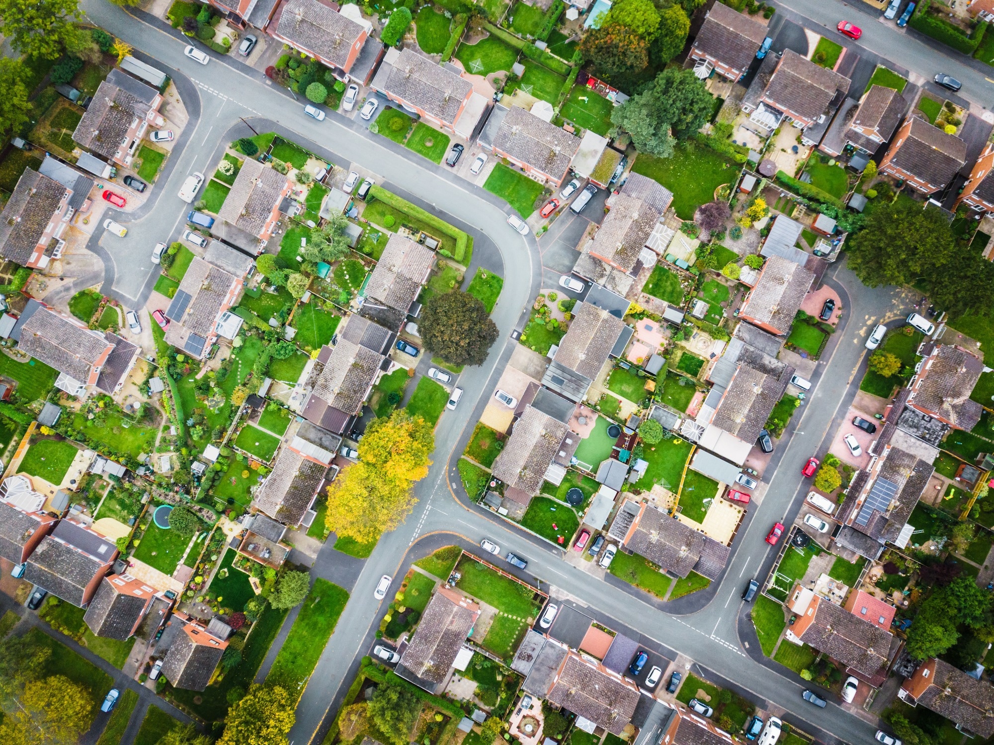 Study: Revolutionizing Urban Tree Mapping: AI and Remote Sensing in Action. Image credit: K303/Shutterstock