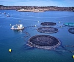 Enhancing Aquaculture Water Quality Prediction with PID-RENet