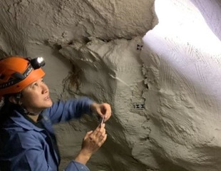 AI Revives Ancient Art: Finger Flutings Reveal Clues About Their Creators