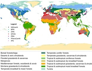 AI-Powered Mapping Breaks Barriers To Real-Time Global Land Monitoring