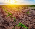 Harnessing Machine Learning for Drought-Resistant Crops