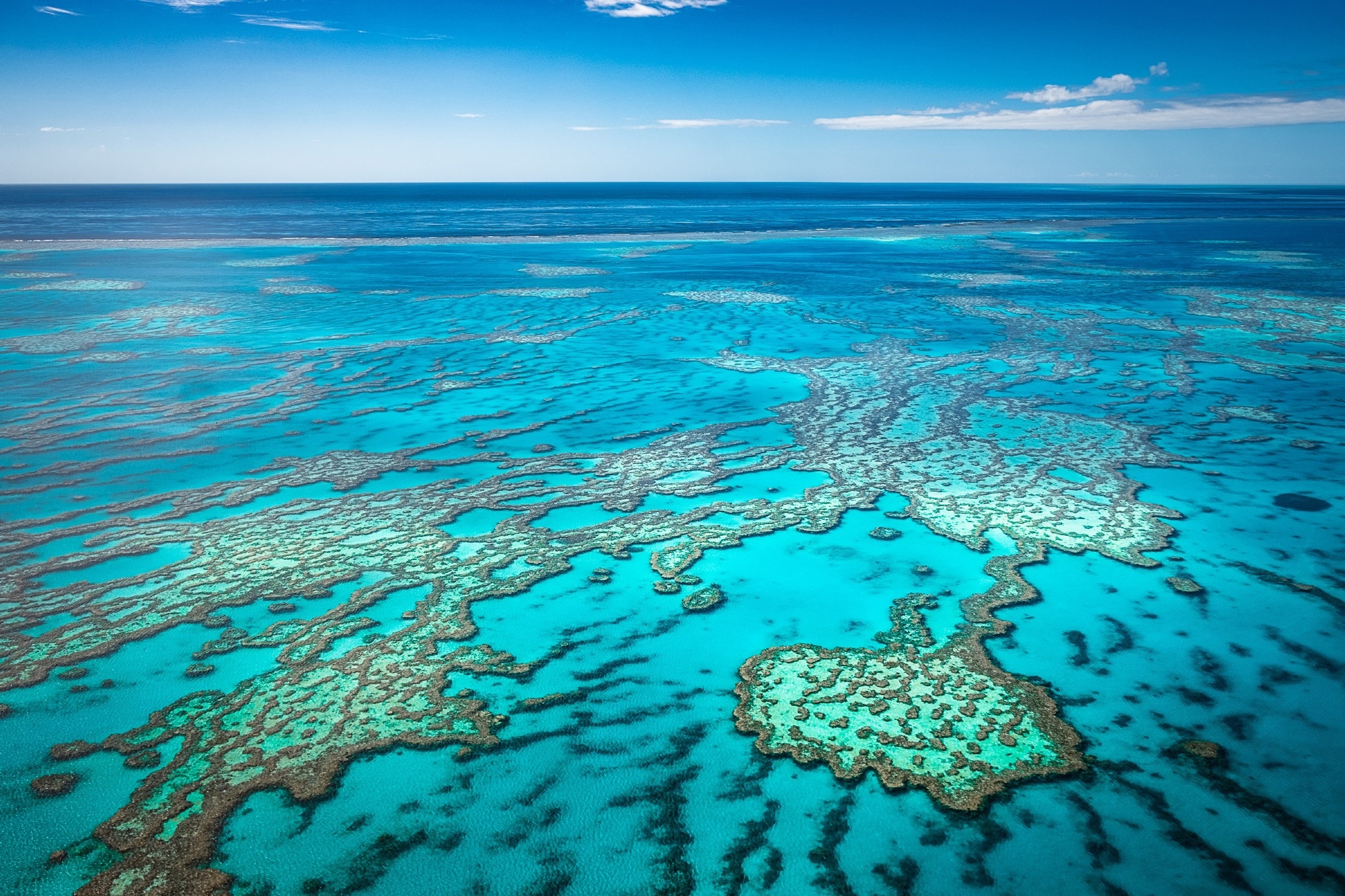 Research: Evaluating coral reef hazards requires both explanatory and predictive models. Image Credit: I Shafiq / Shutterstock