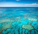 AI Offers Hope For Coral Reefs: Machine Learning Predicts Resilience Amid Climate Change