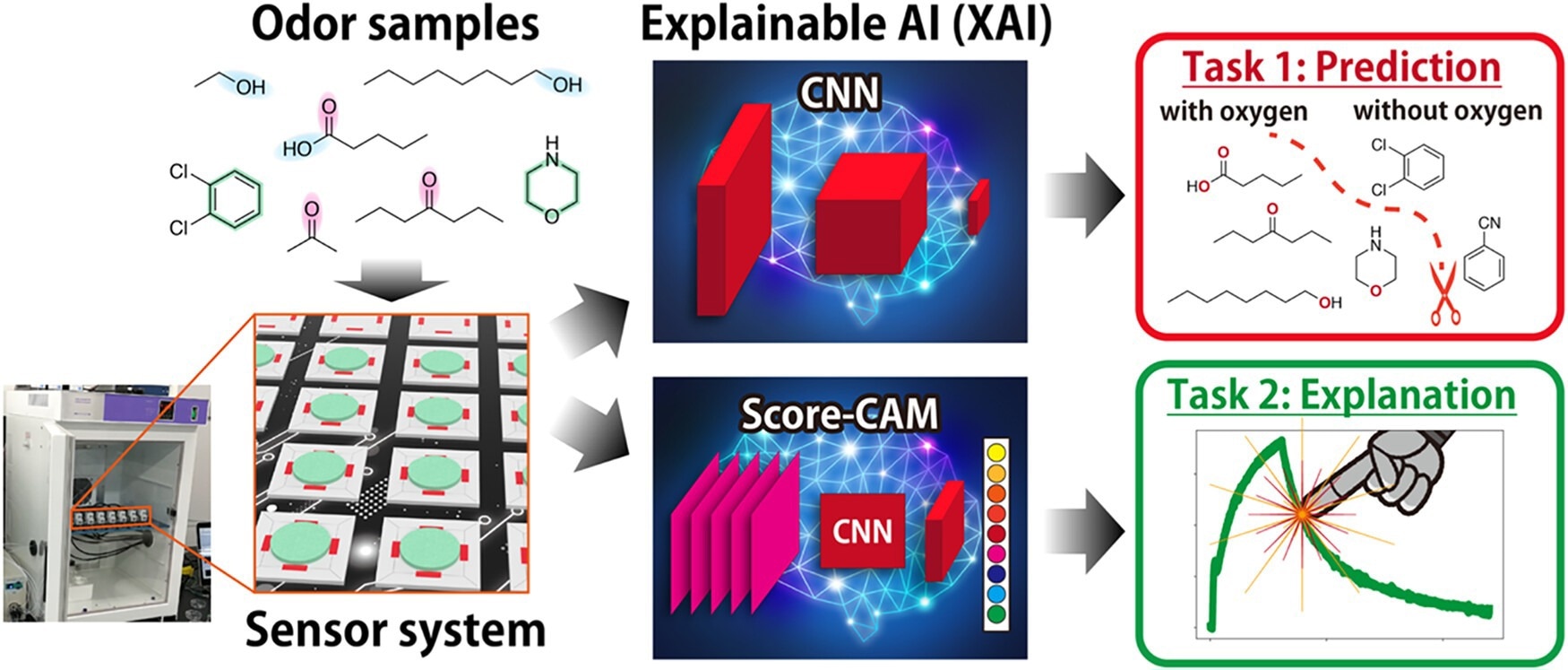 Flowchart of our signal analysis based on XAI for predicting the category of samples and understanding the important parts of the signals.