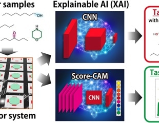 Scientists Use Explainable AI to Reveal How Sensors Recognize Smells