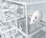 Mouse Pose Analysis: 3D Posture Inference and Behavioral Insights