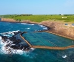 Boosting Marine Ranching with AI: Reinforcement Learning for Risk Management