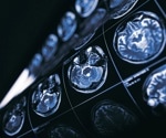 AI-Crafted Novel Objects Shed Light on Brain Processing