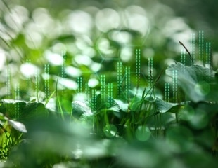 How AI-Driven Science Is Revolutionizing Environmental Decision-Making Worldwide