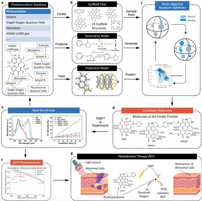 The workflow of AAPSI, the AI-accelerated workflow for photosensitizer discovery. Image Credit: Hongyi Wang from City University of Hong Kong, Xiuli Zheng from Technical Institute of Physics and Chemistry, and Sheng Gong from Massachusetts Institute of Technology