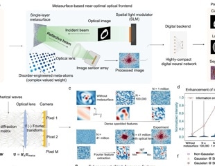Metasurface AI Breakthrough Brings Faster Medical Imaging