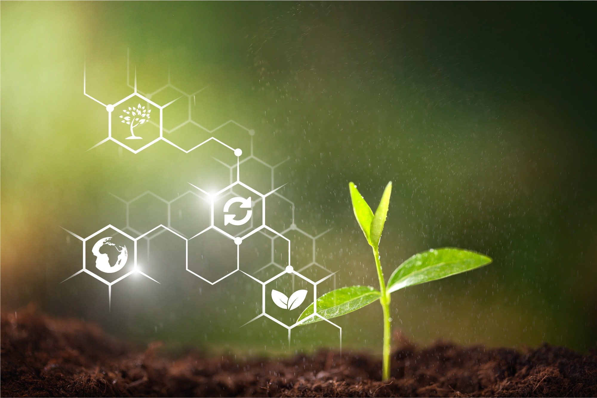 Study: AI-Powered Sustainability in Côte d