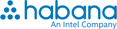 Habana Labs
