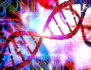 End of “black box” AI? Scientists Develop Blueprint for Transparent Systems that Reveal How they Learn and Make Decisions